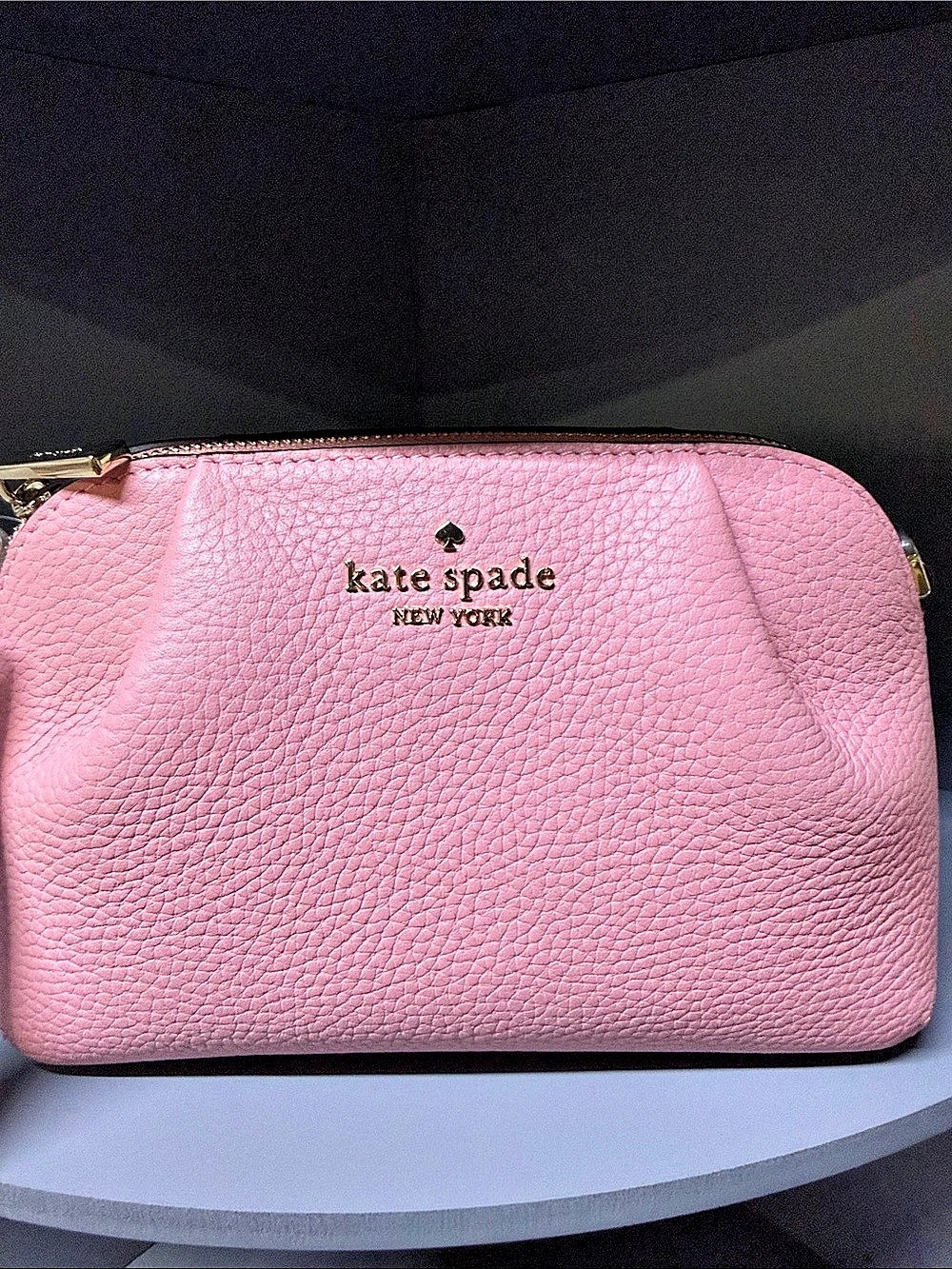 Kate Spade Dumpling Crossbody Bag NWT